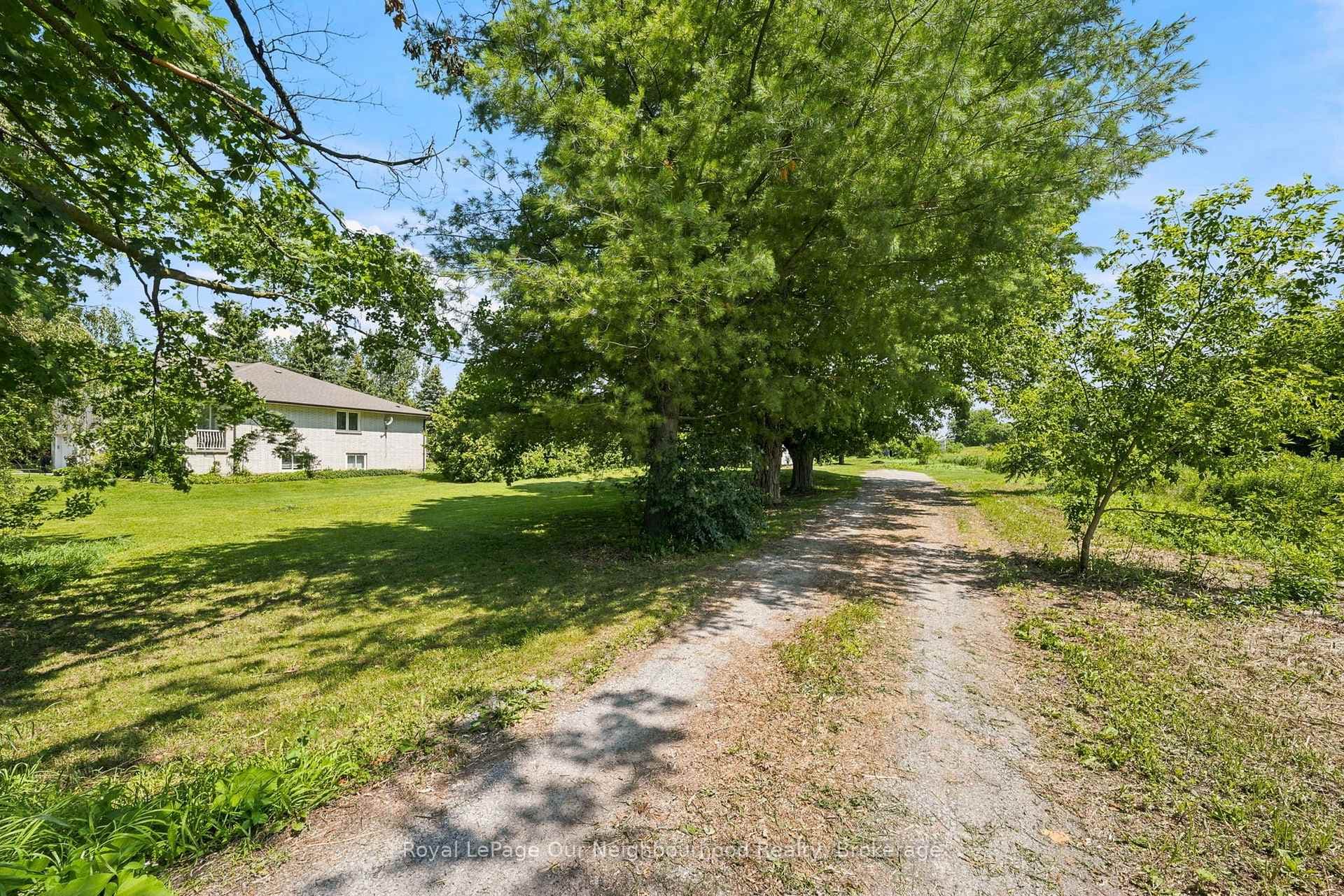 4599 Trulls Road photo 4