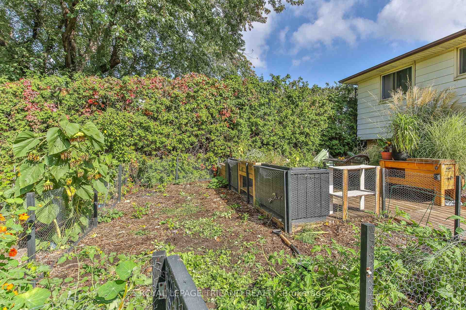 5 Dyer Street photo 28