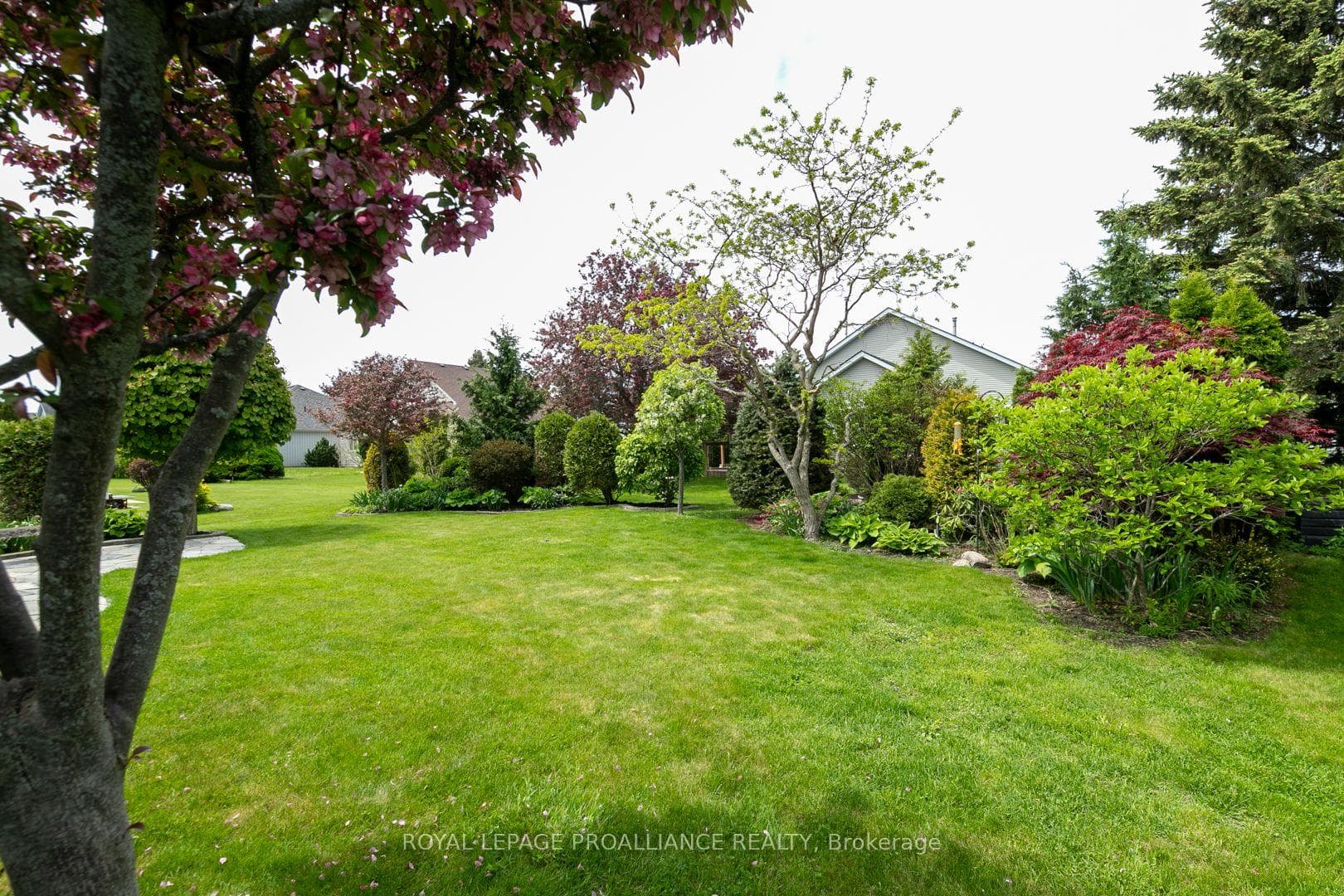 12 Mills Road photo 35