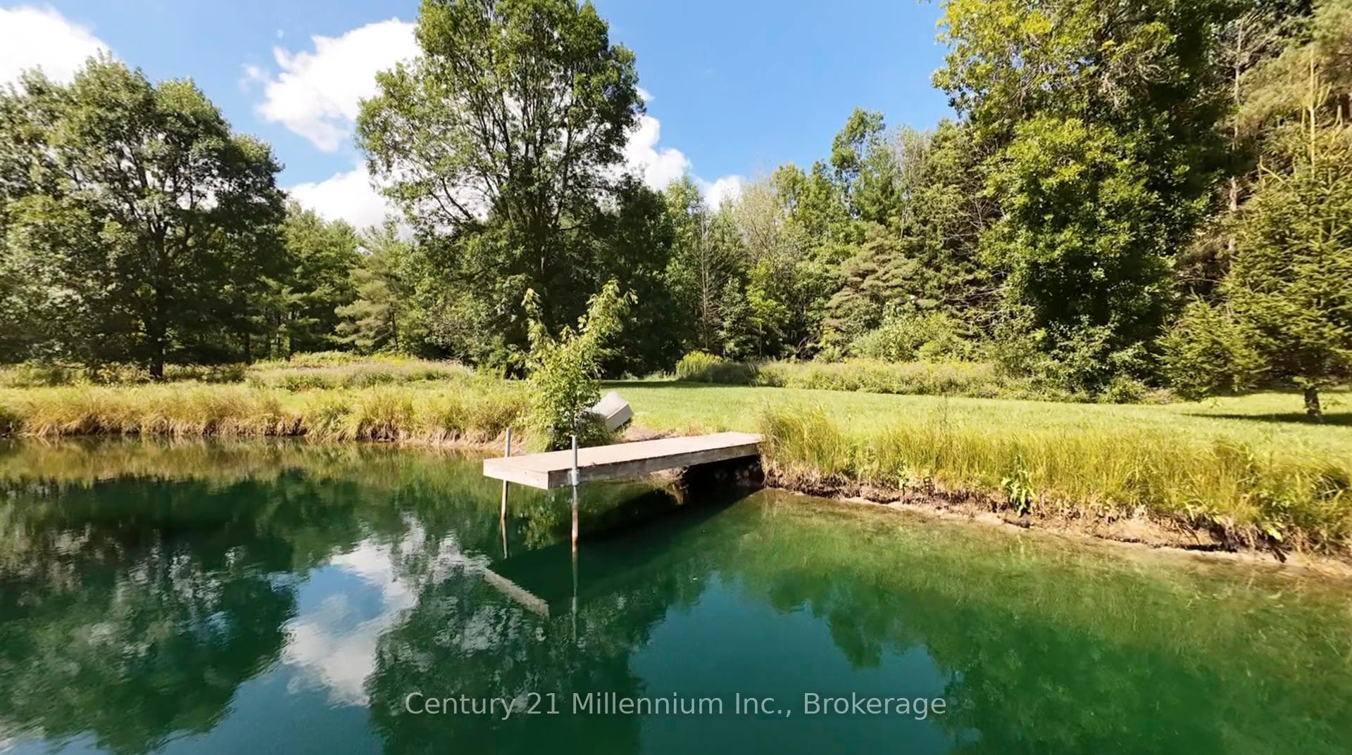 Sitting on the dock of the ... pond.
