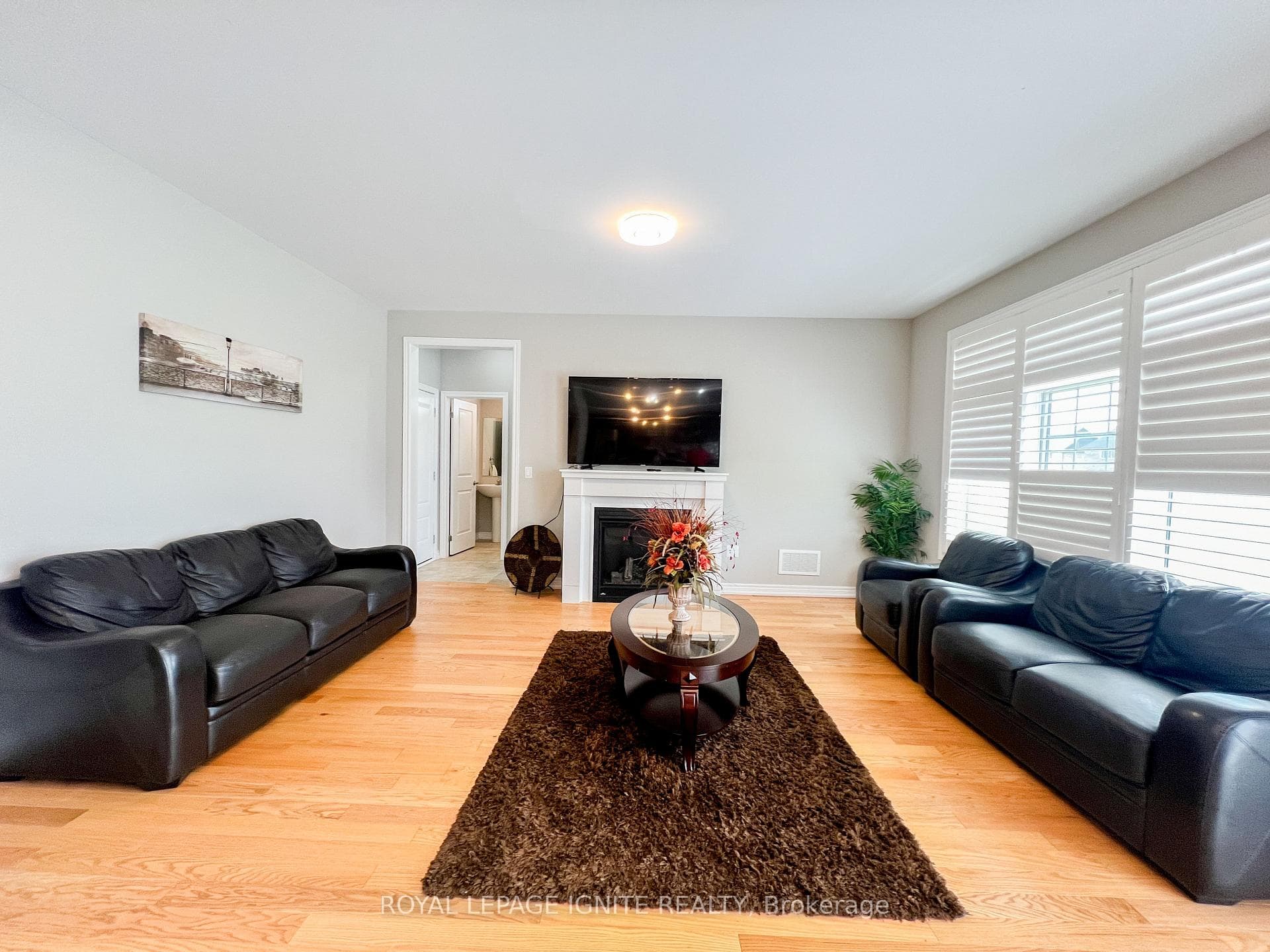 13 Monarch Road photo 22