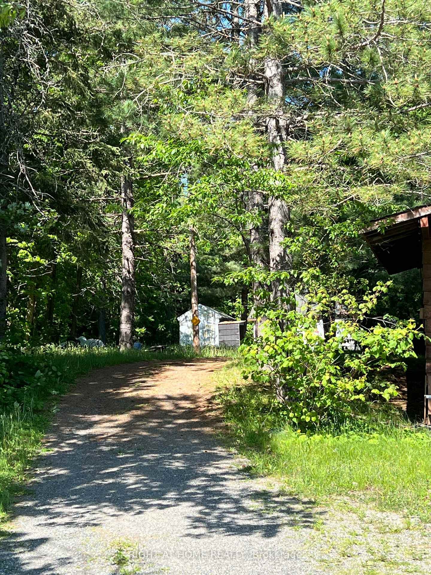 2913 Highway 11 N/A photo 6