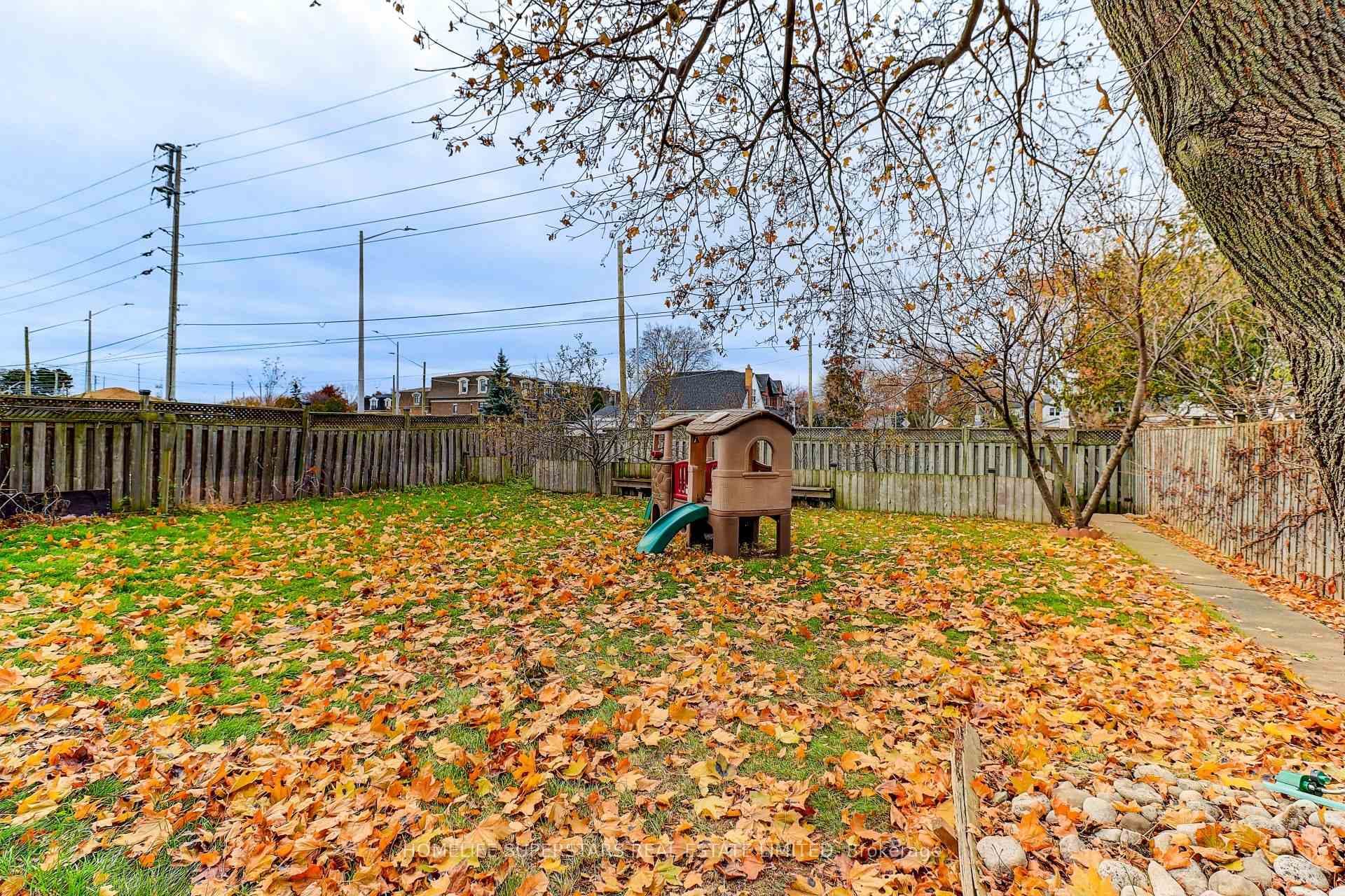 Extra Large Backyard