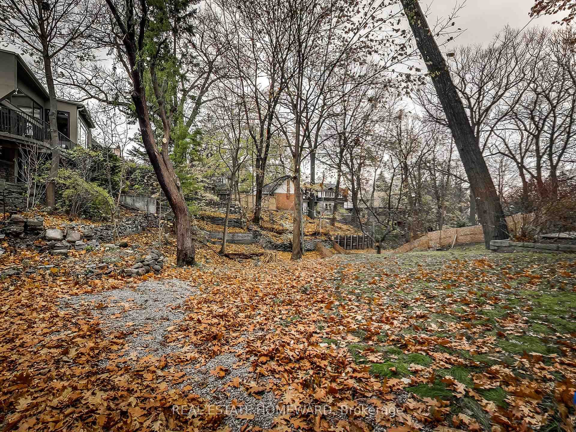 exterior yard ravine