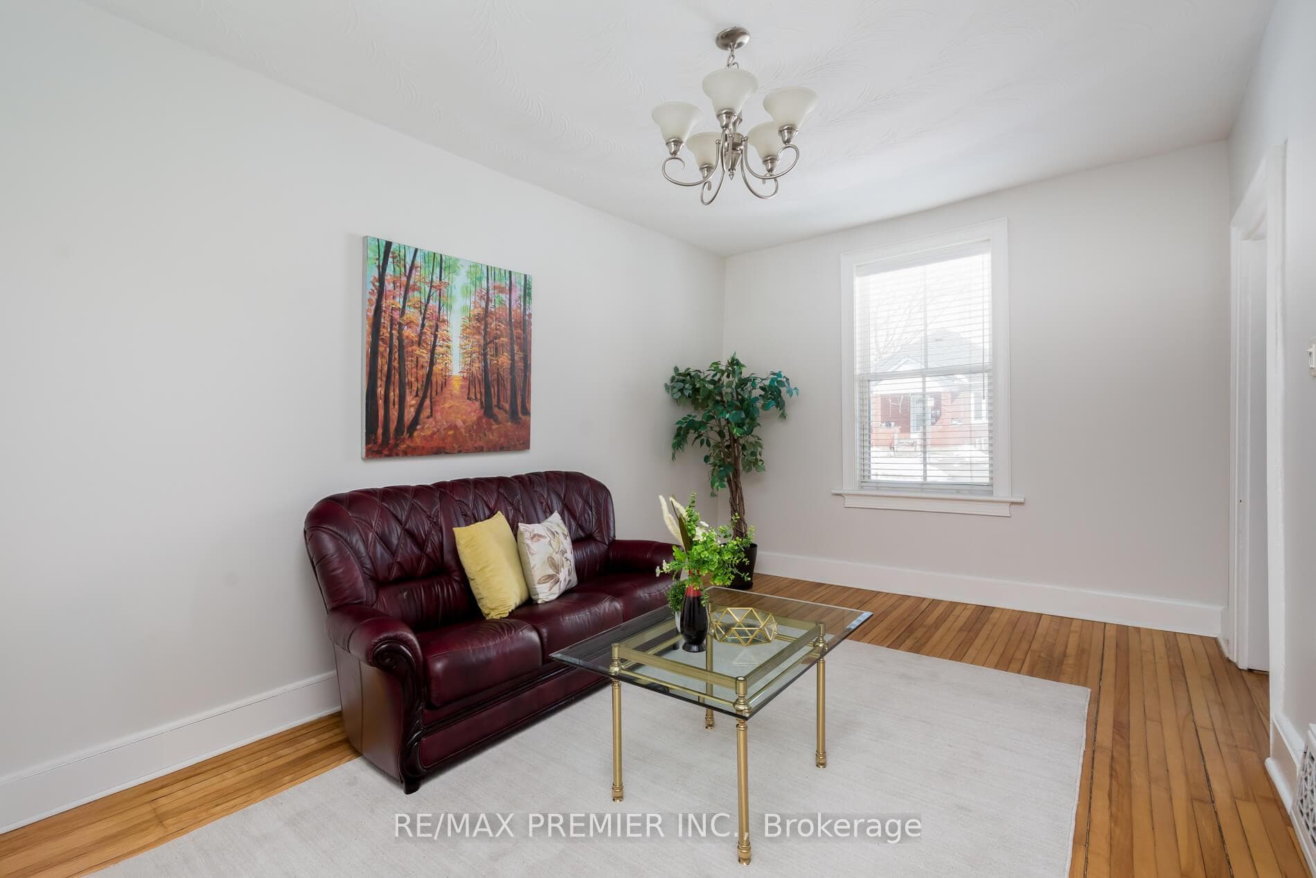 15 Elizabeth Street photo 6
