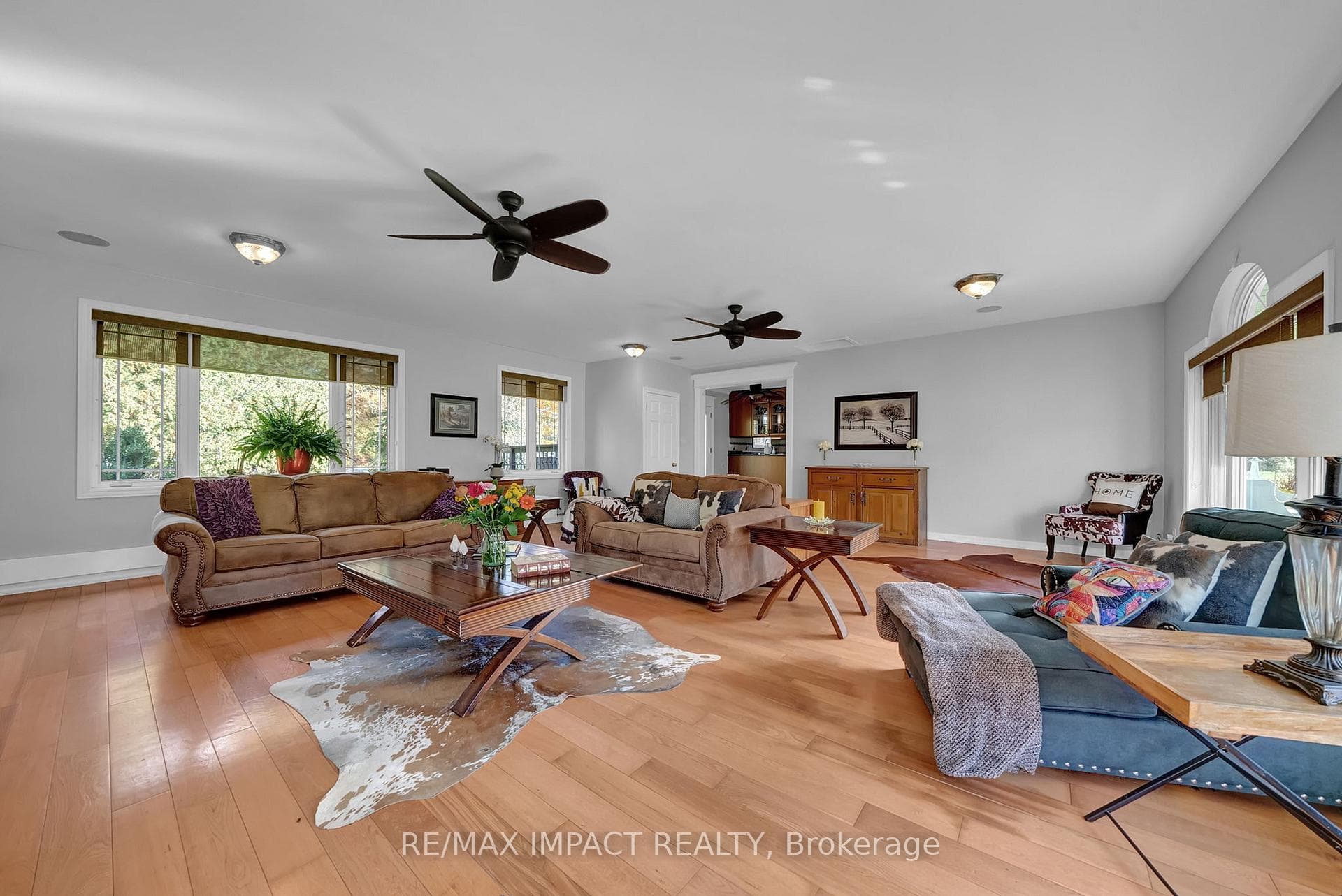 121 Whitehead Road photo 10