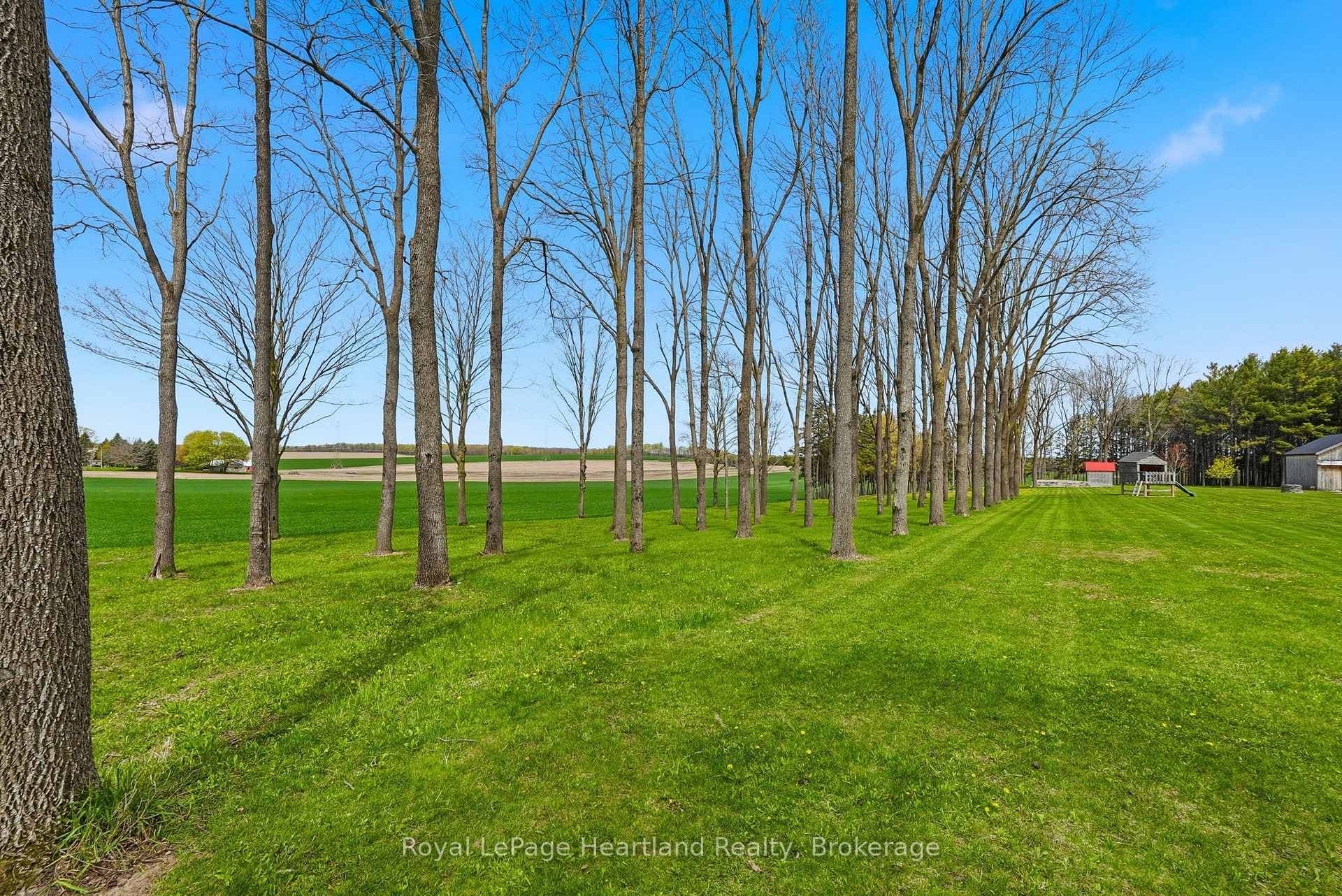 42148 Salem Road photo 47