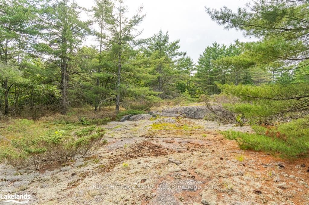 1186 SAM COOK Road photo 33