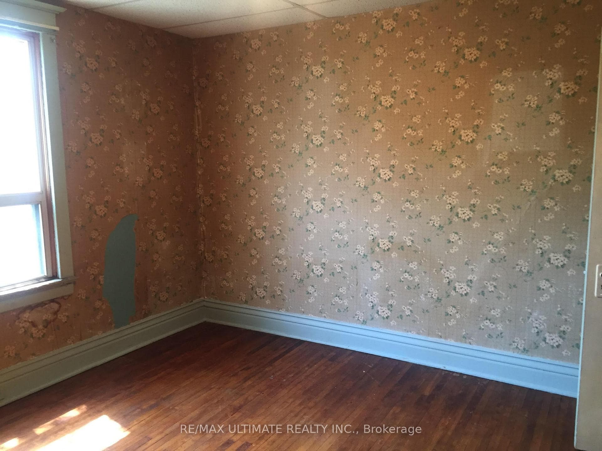 17 Dingwall Avenue photo 17