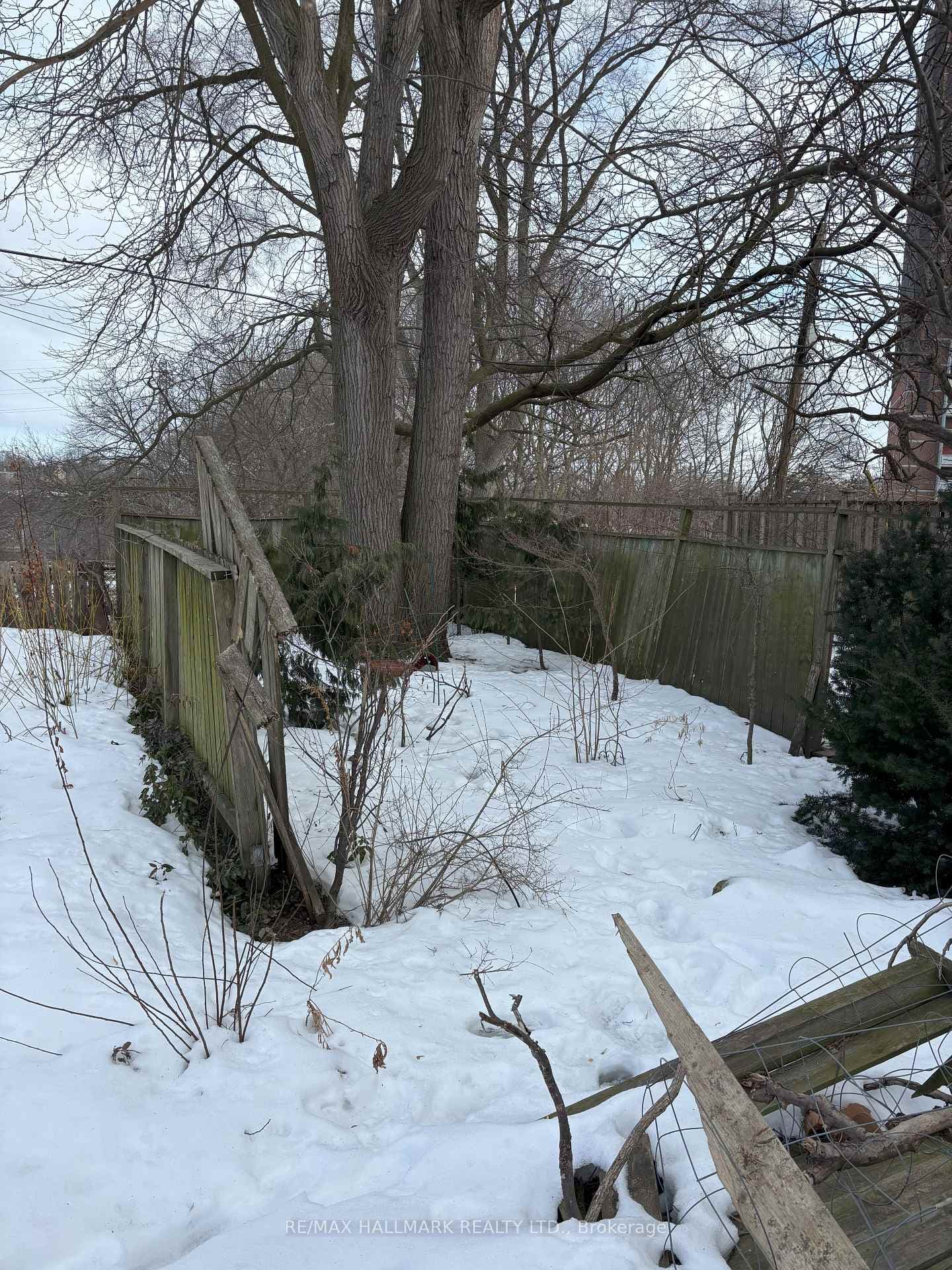 227 River Street photo 4