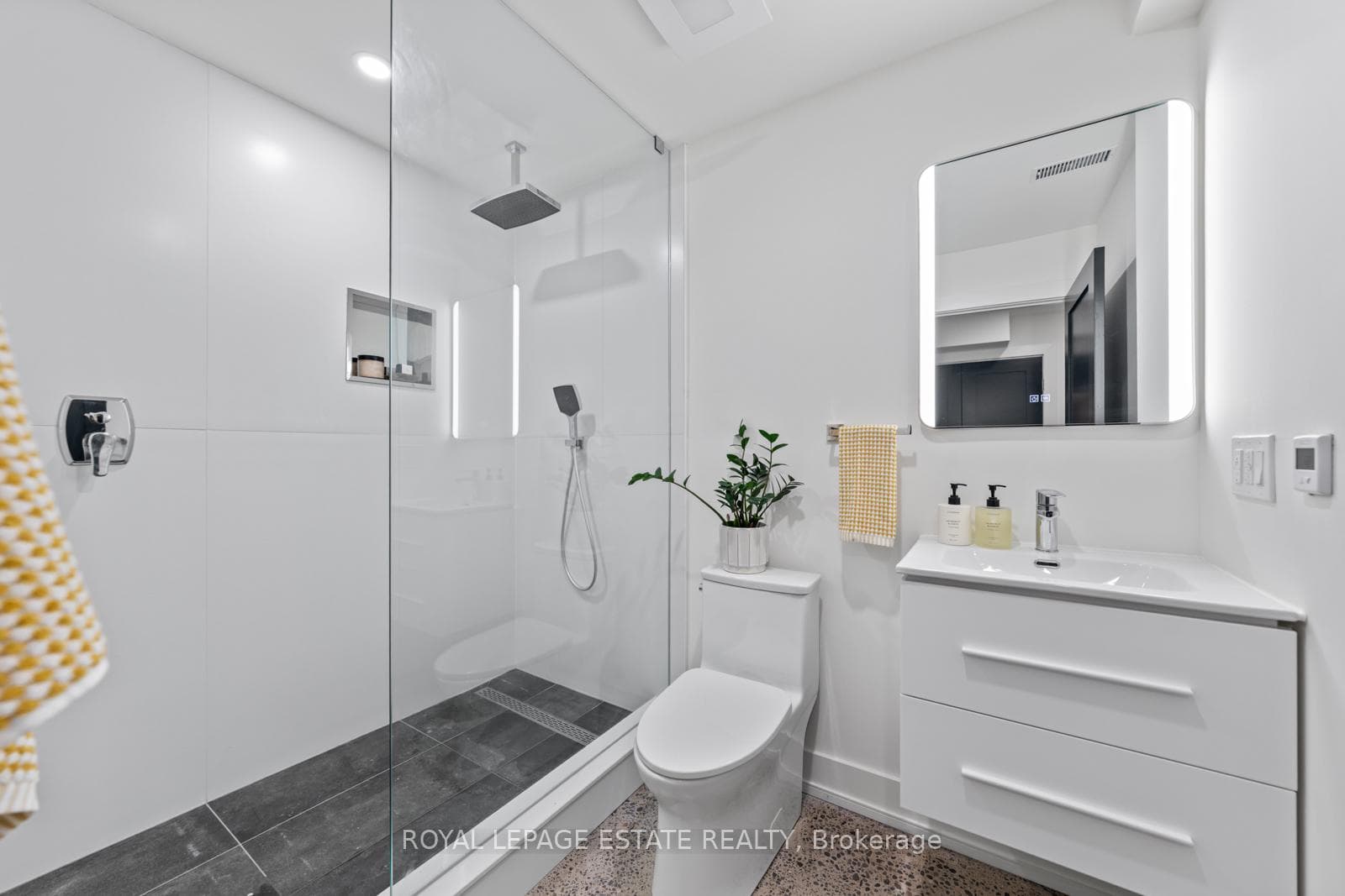 160 Silver Birch Avenue photo 40
