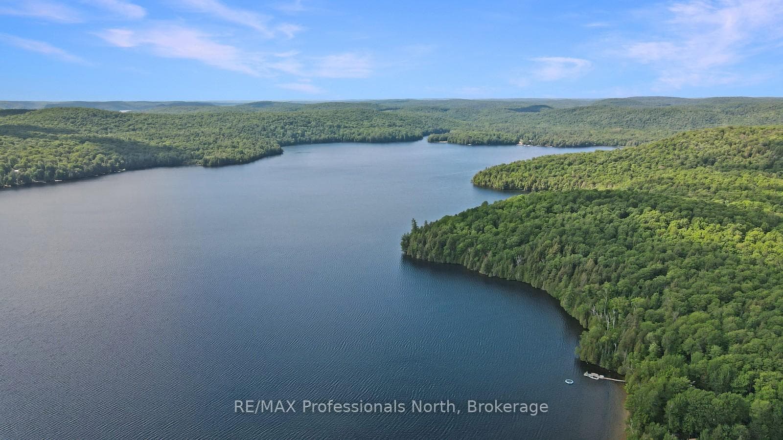 6198 Haliburton Lake Road photo 46