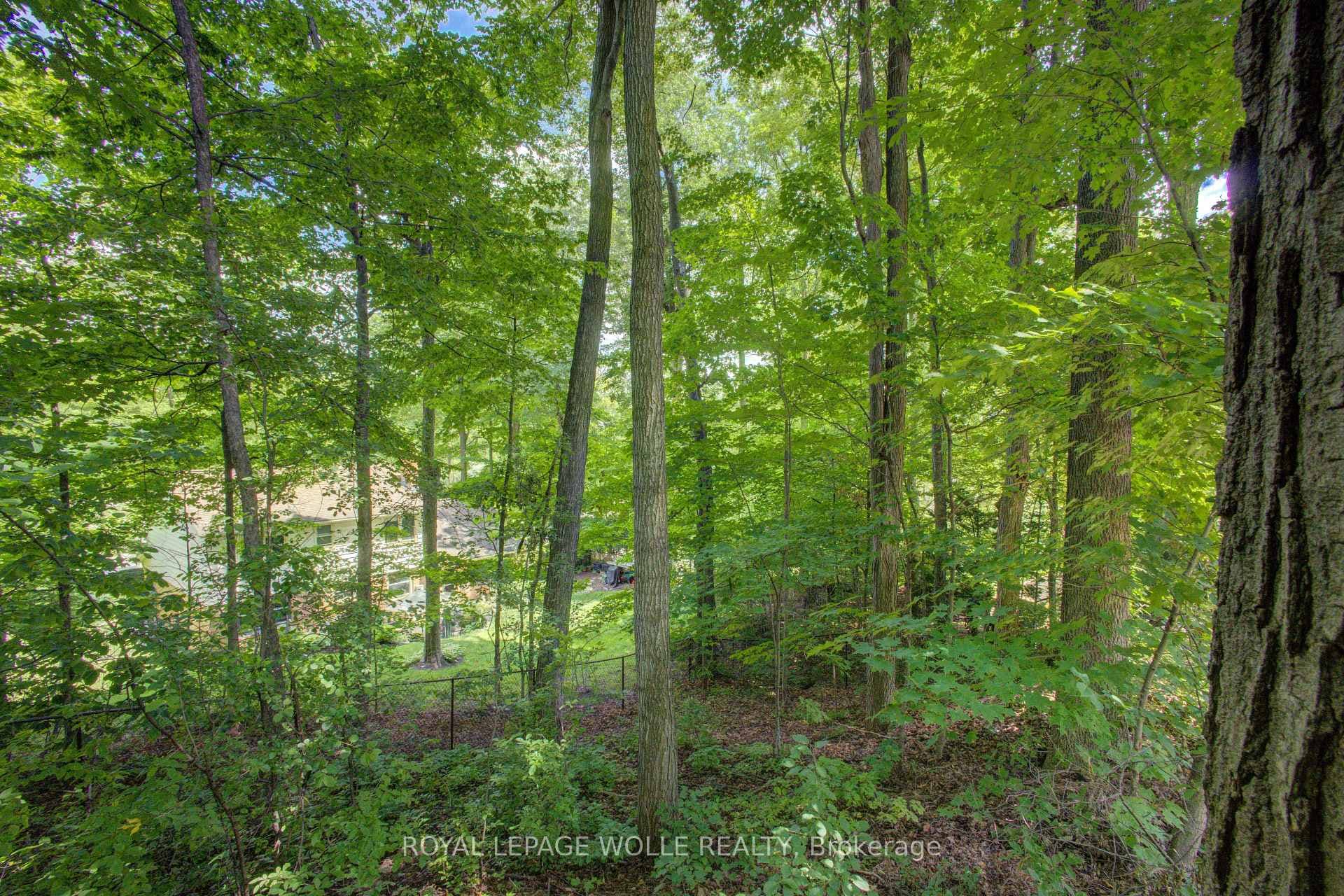 294 Algonquin Drive photo 44