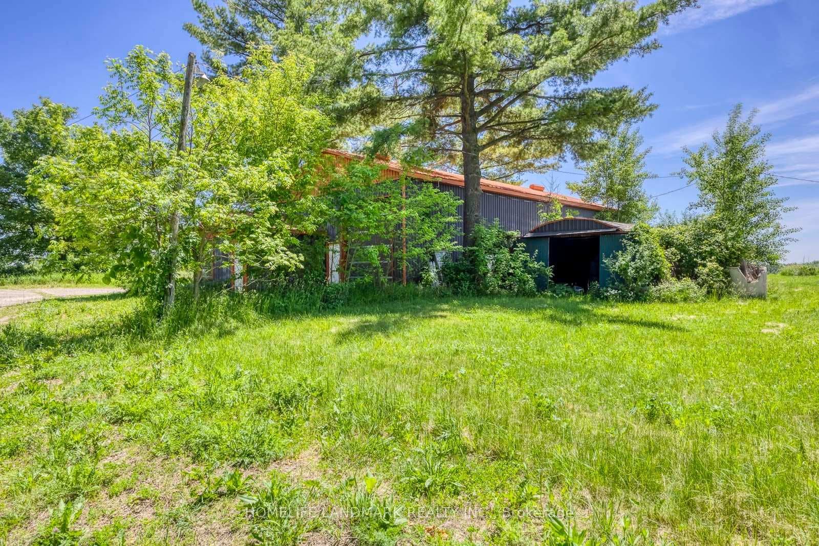 217 Carlisle Road photo 24