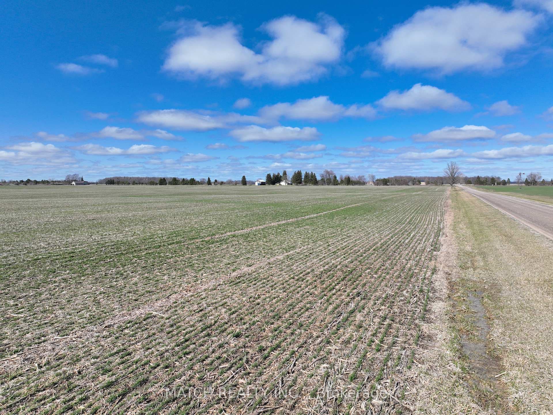 23899 Dundonald Road photo 8