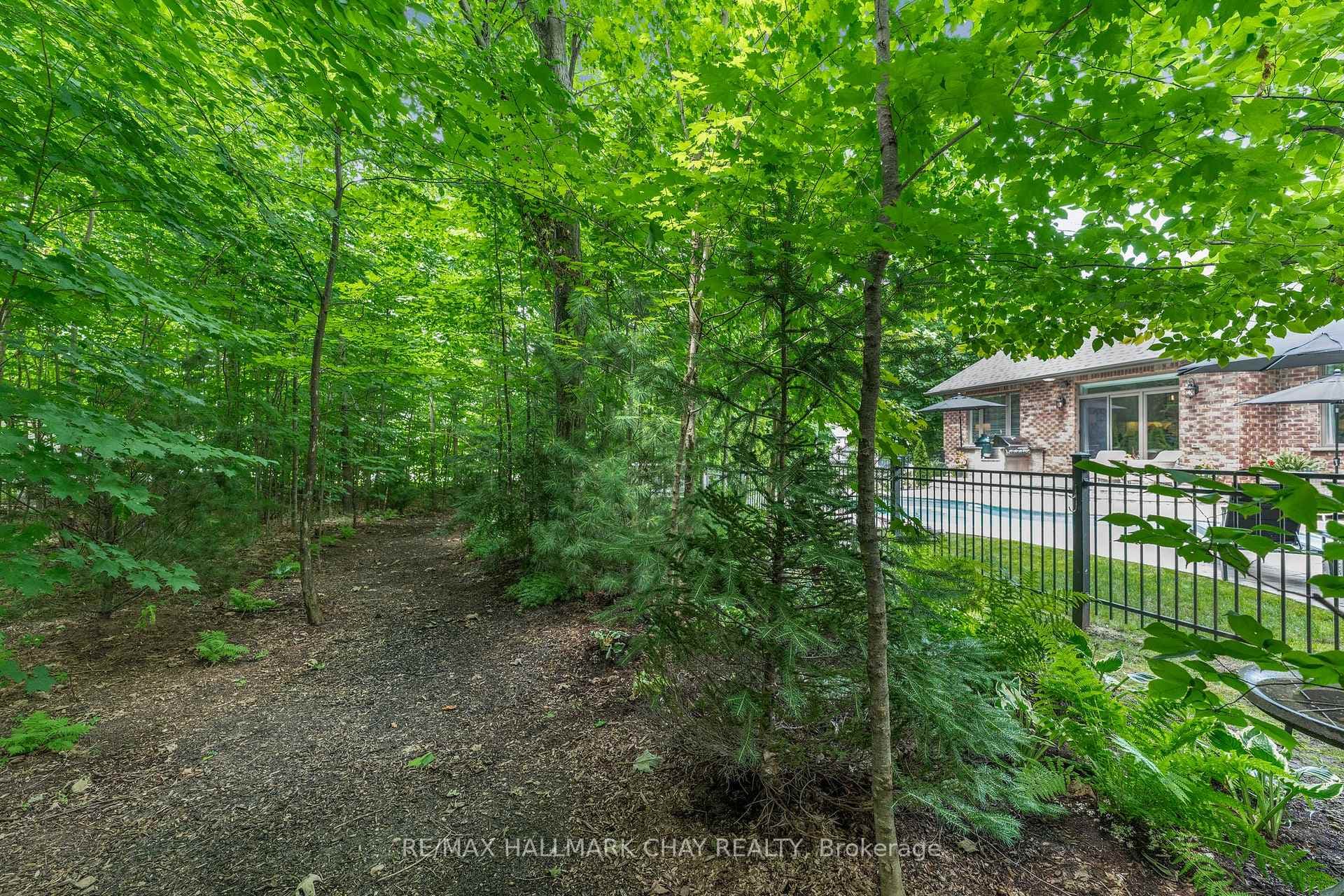 30 Black Creek Trail photo 30