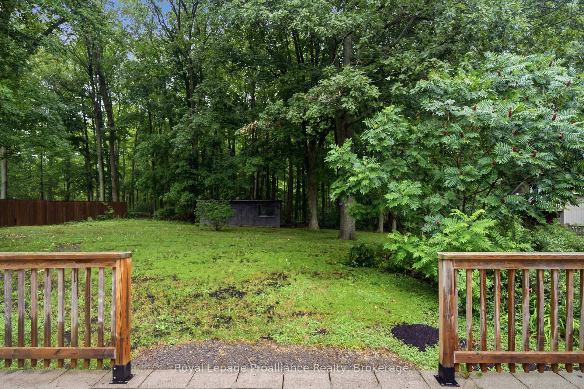 156 Pinehill Crescent photo 38