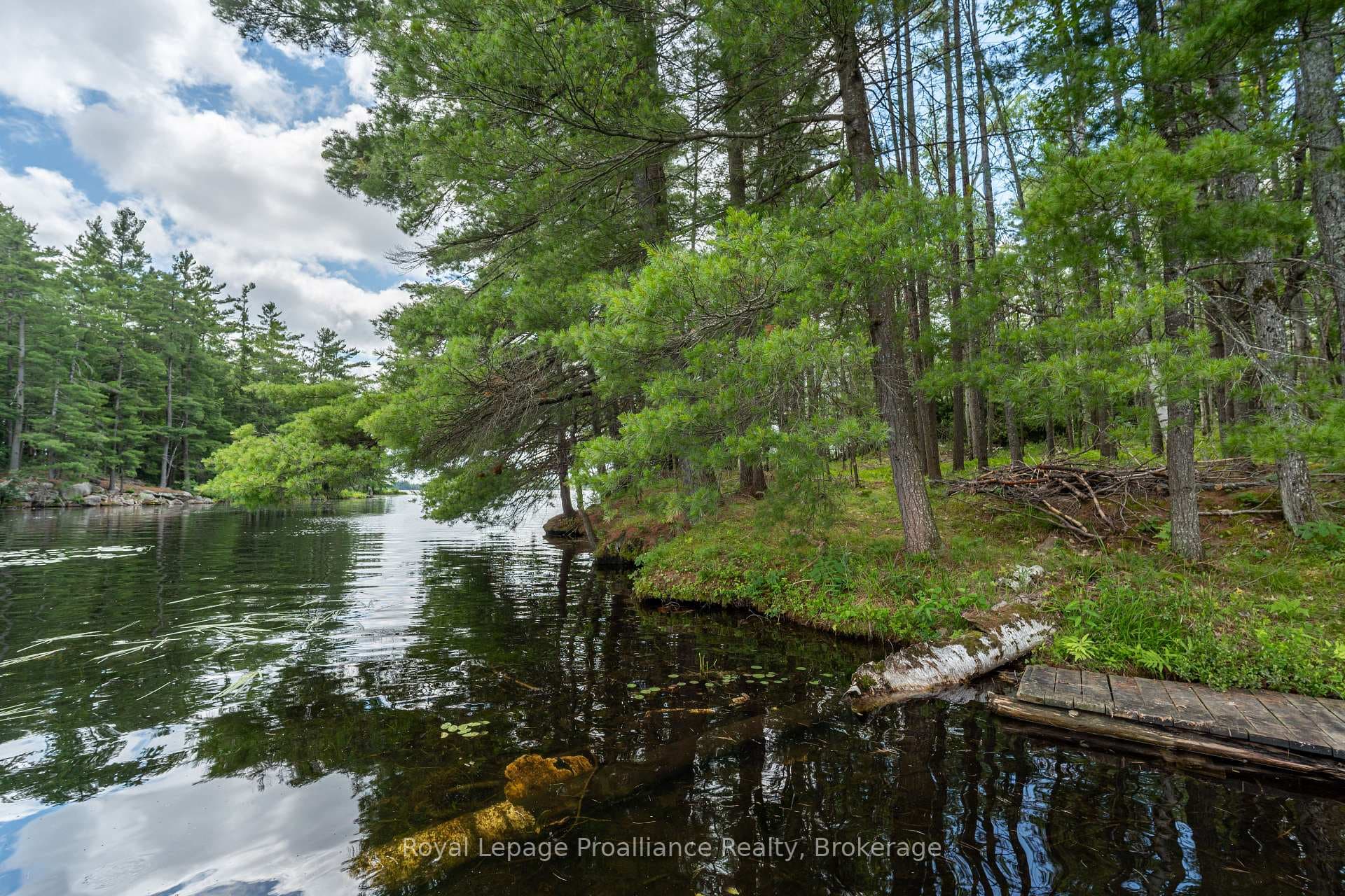 1 WAO Kasshabog Lake N/A photo 7