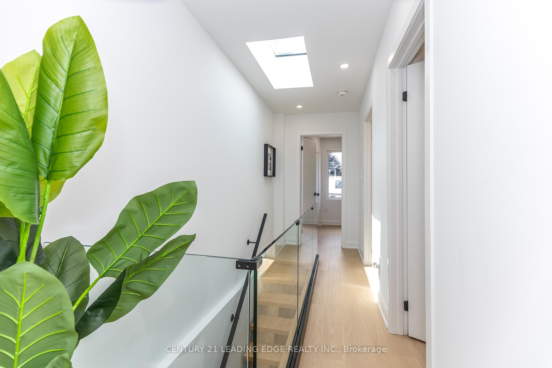 12 Marigold Avenue photo 14