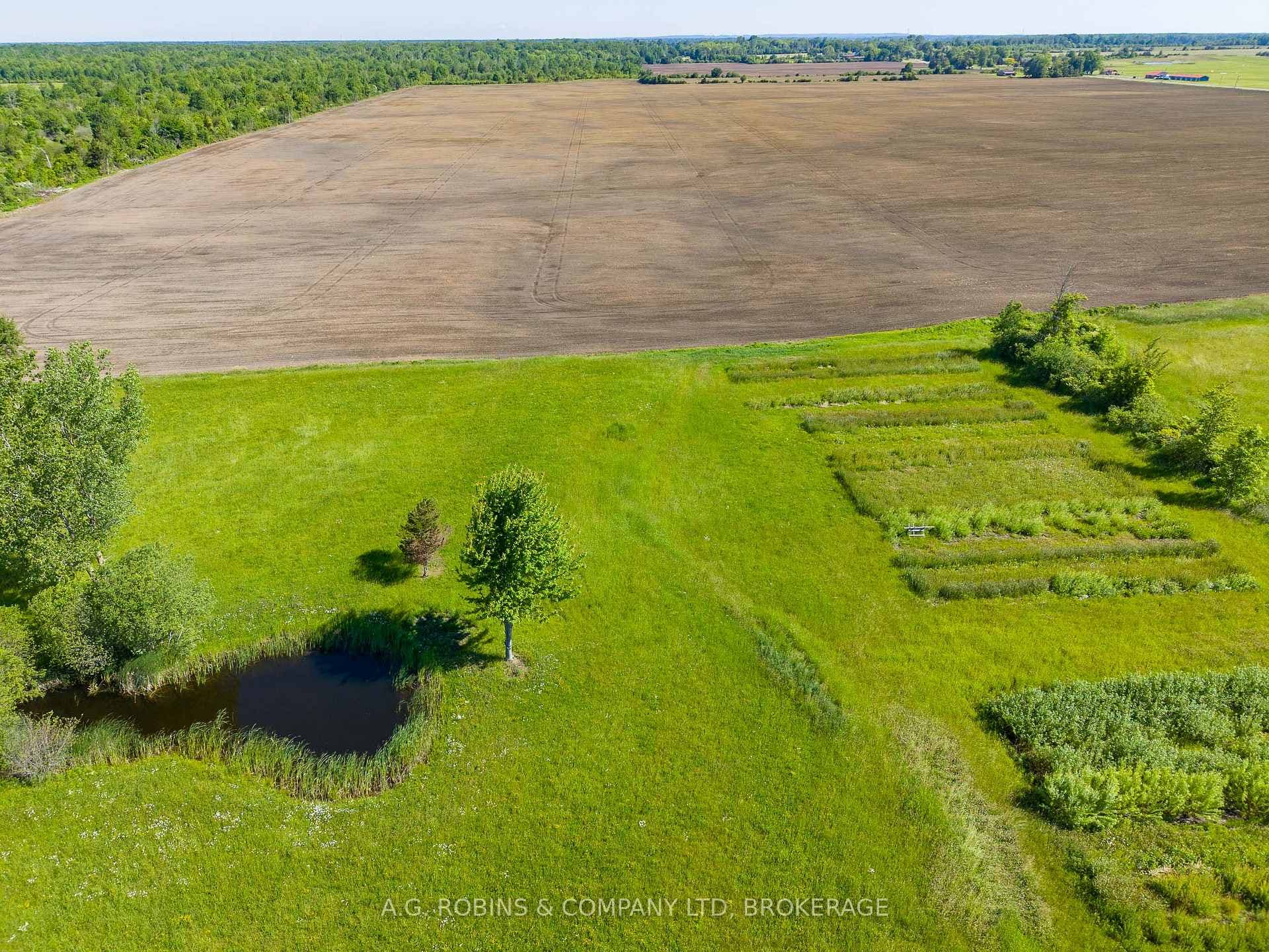 11716 LAKESHORE Road photo 38