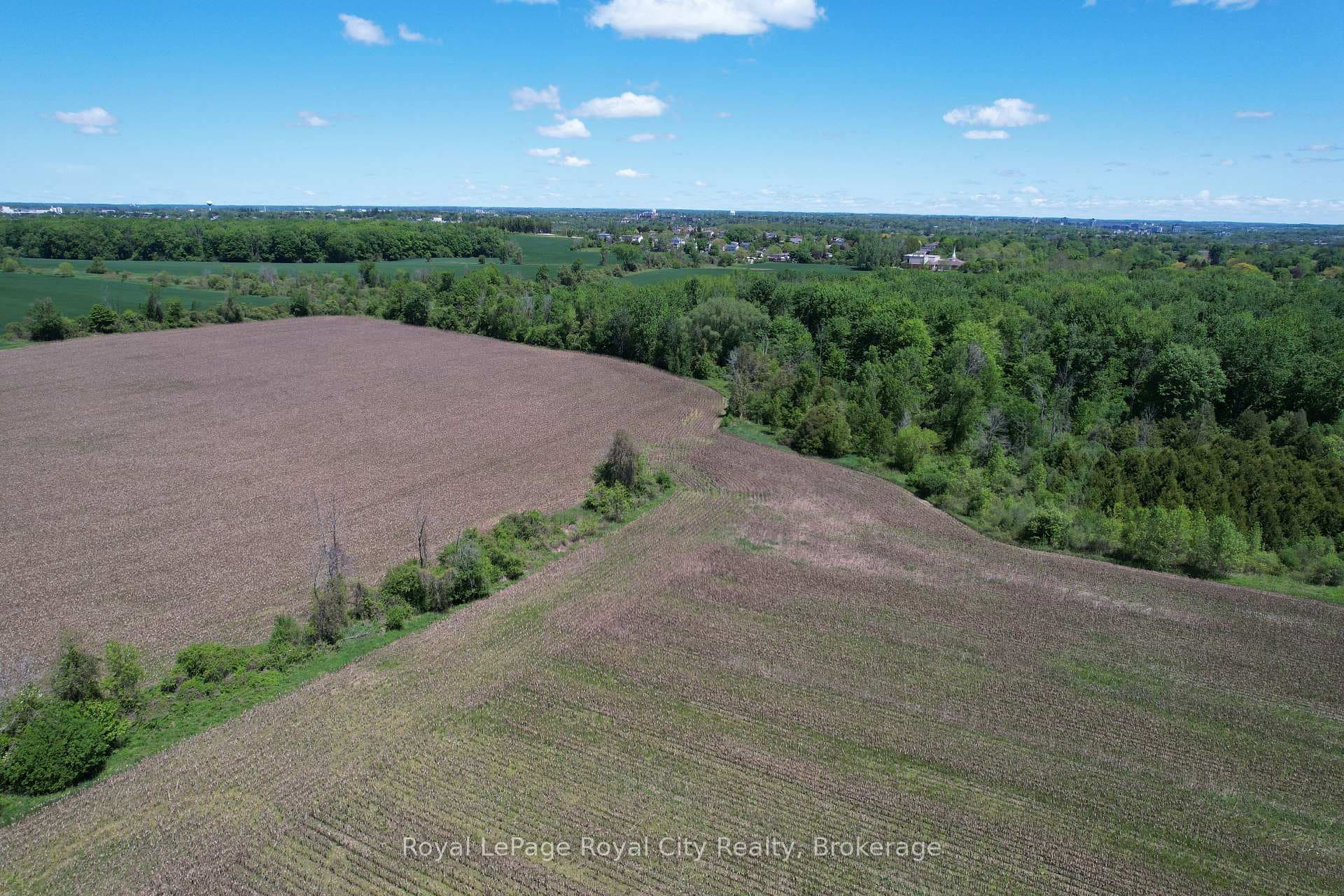 7096 Fife Road photo 12