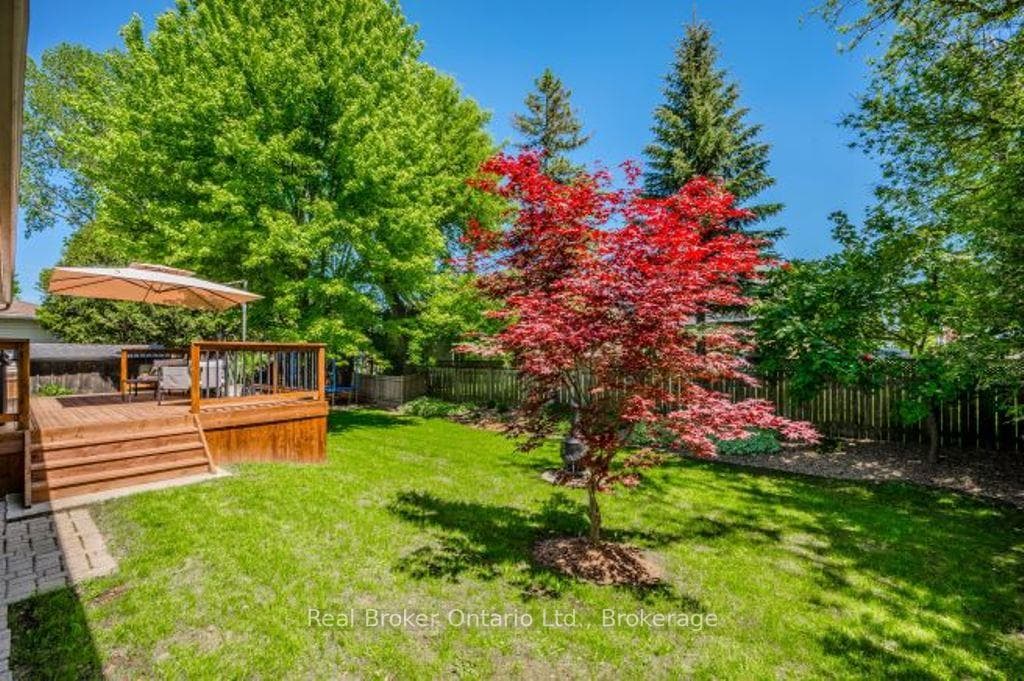 310 Albert Avenue photo 35