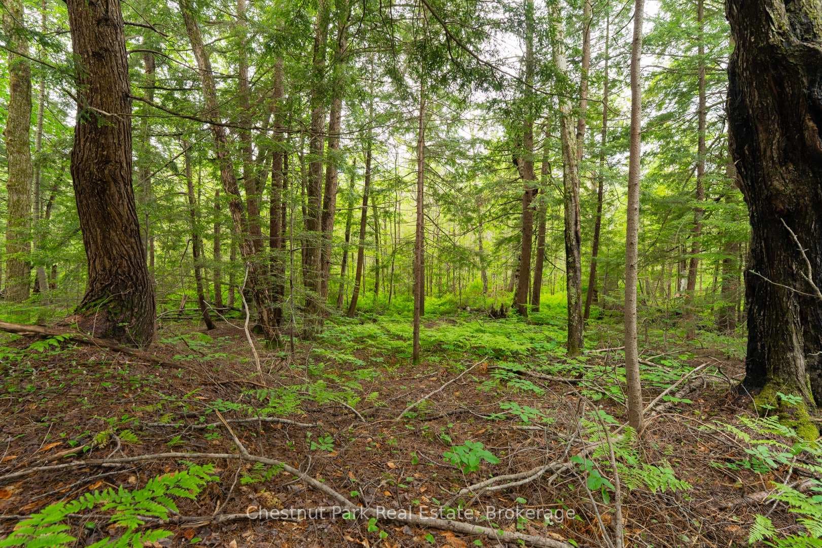 1066 Uffington Road photo 2