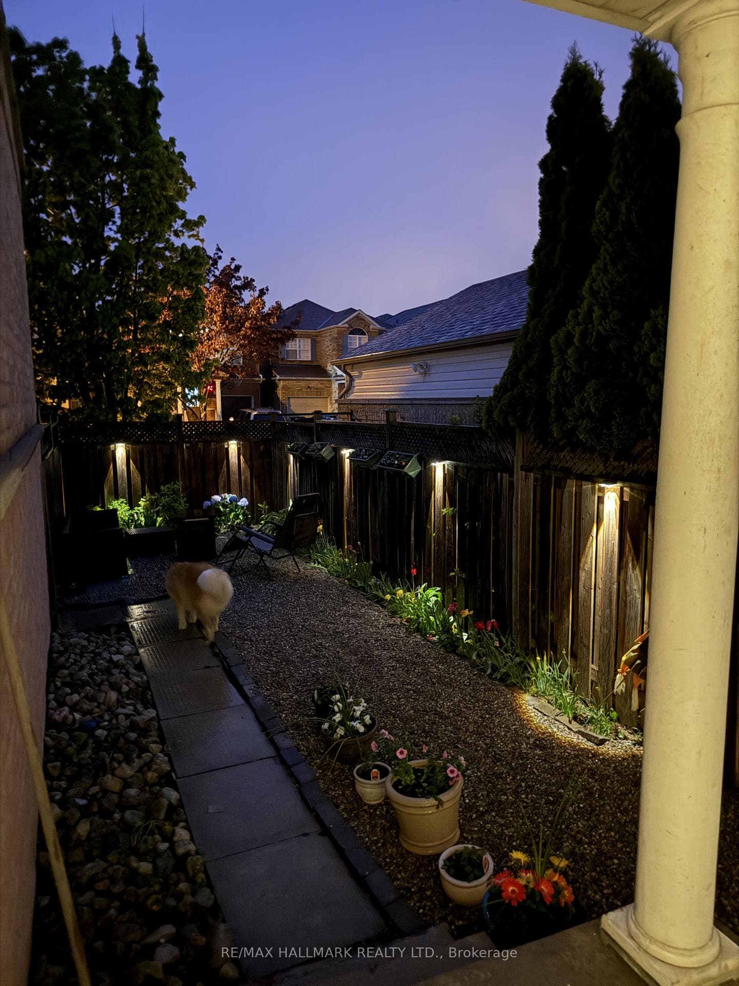 Cozy Backyard at night