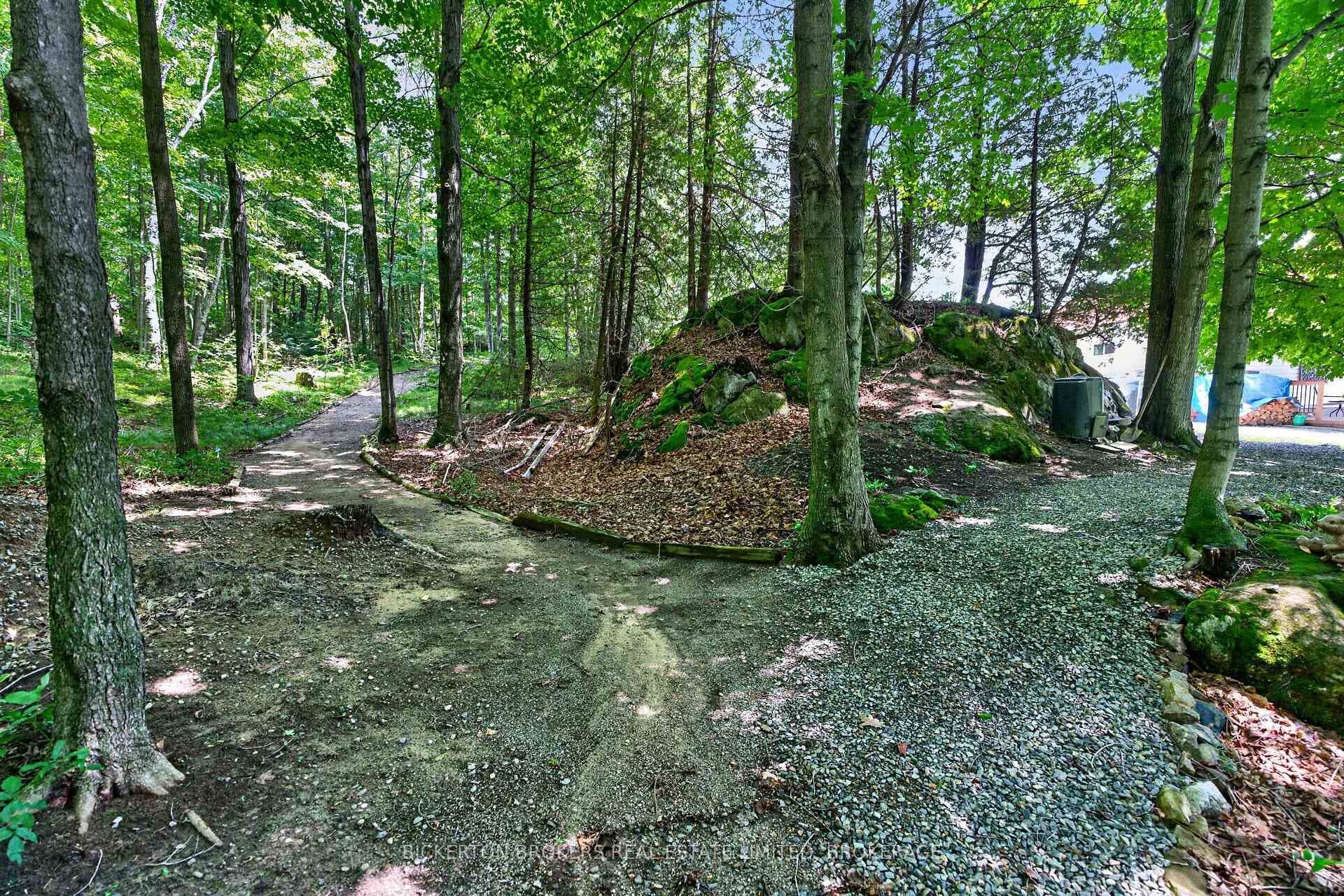 224 Big Hill Road photo 48