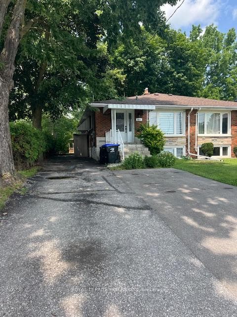 62 Nelson Street photo 32
