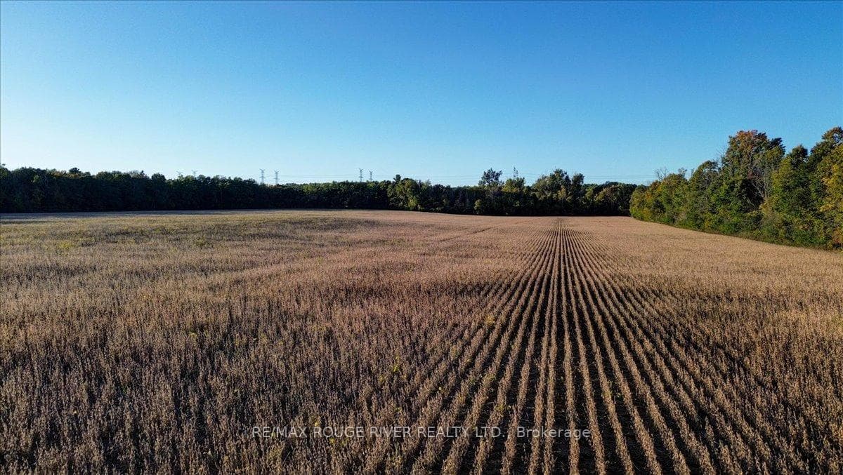 190 McBride Road photo 32
