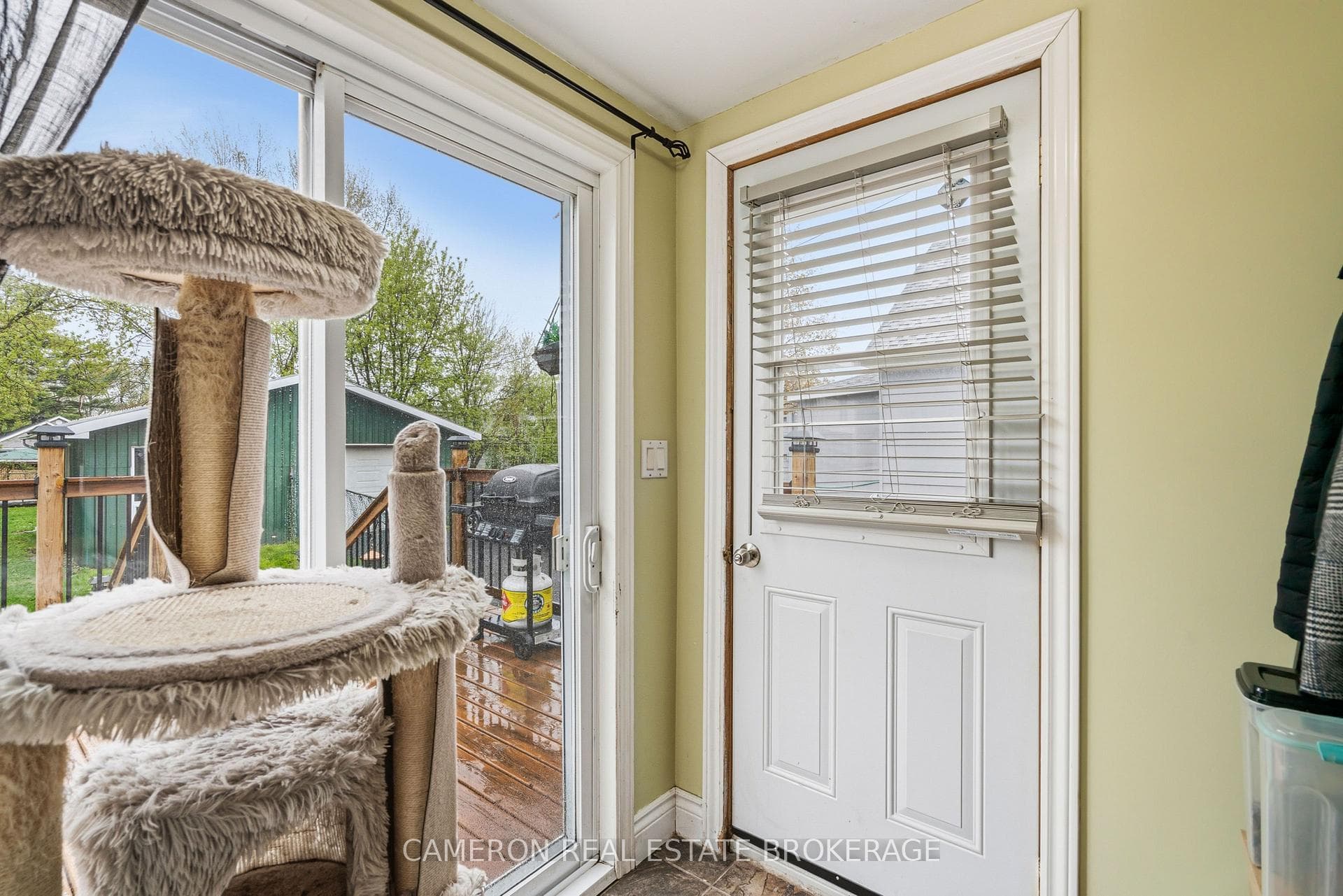 537 Gloucester Street photo 10