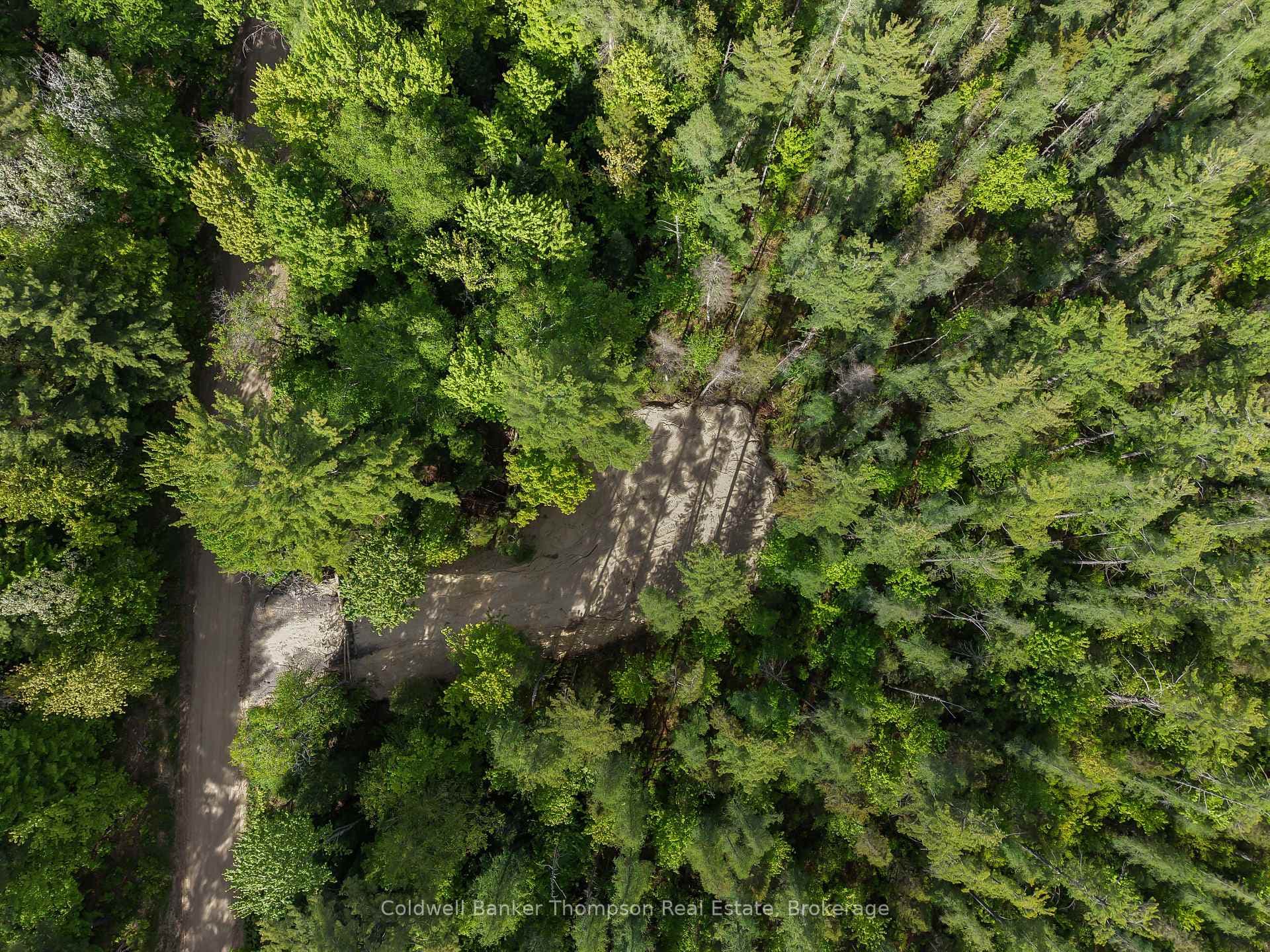PART 6 AXE LAKE Road photo 3