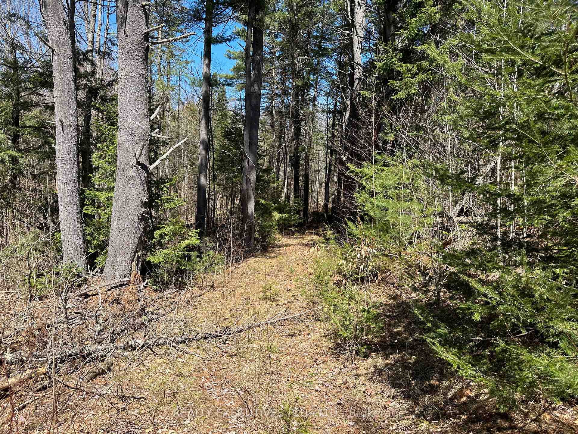 00 DALHOUSIE 4TH CONC B Road photo 7