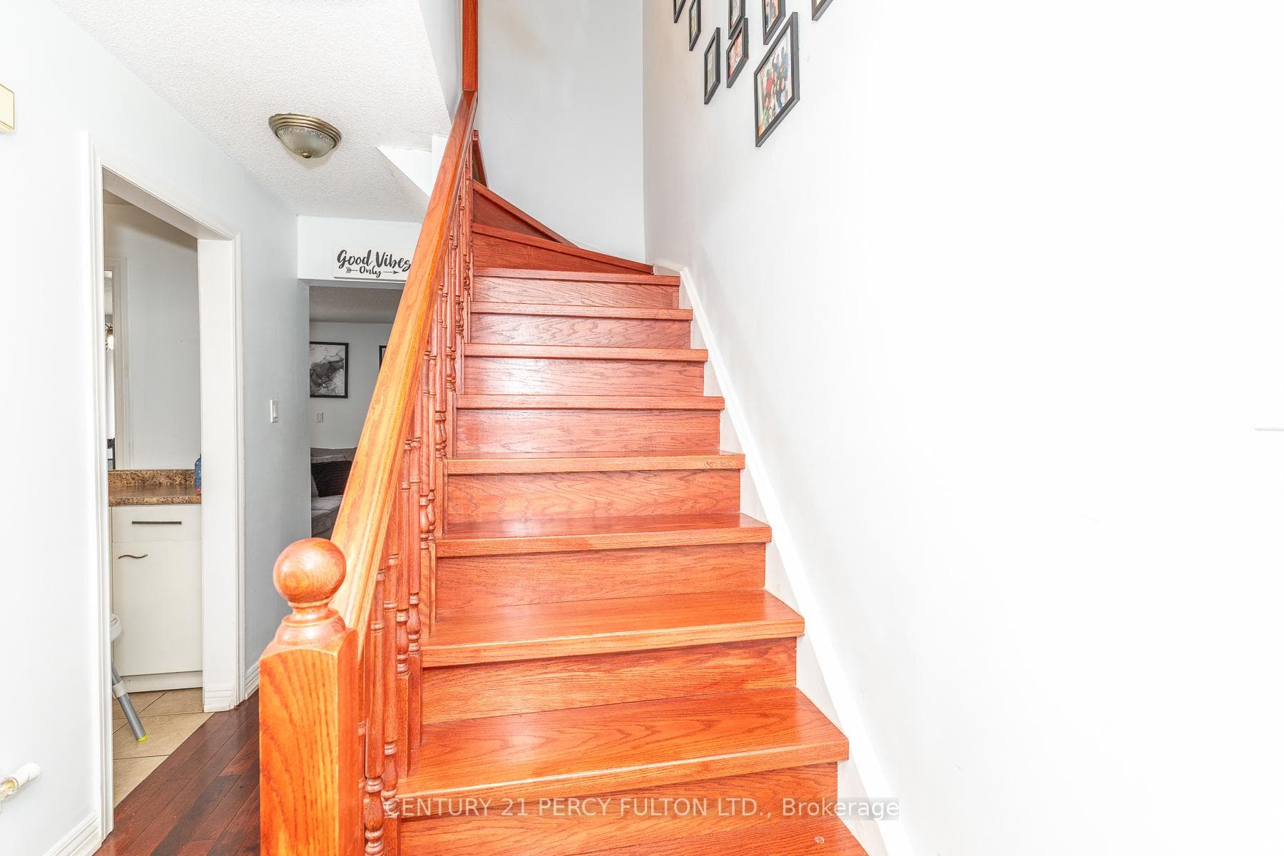 557 Cobblehill Drive photo 19