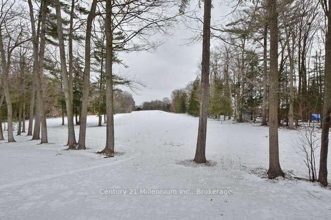 1 Downer Crescent photo 39