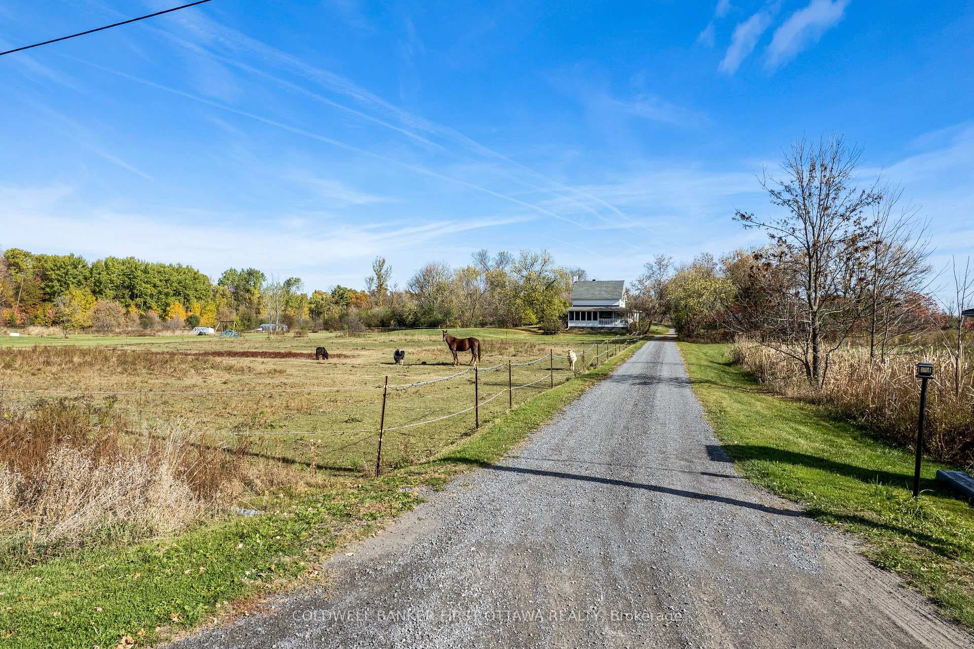 3968 Diamondview Road photo 44