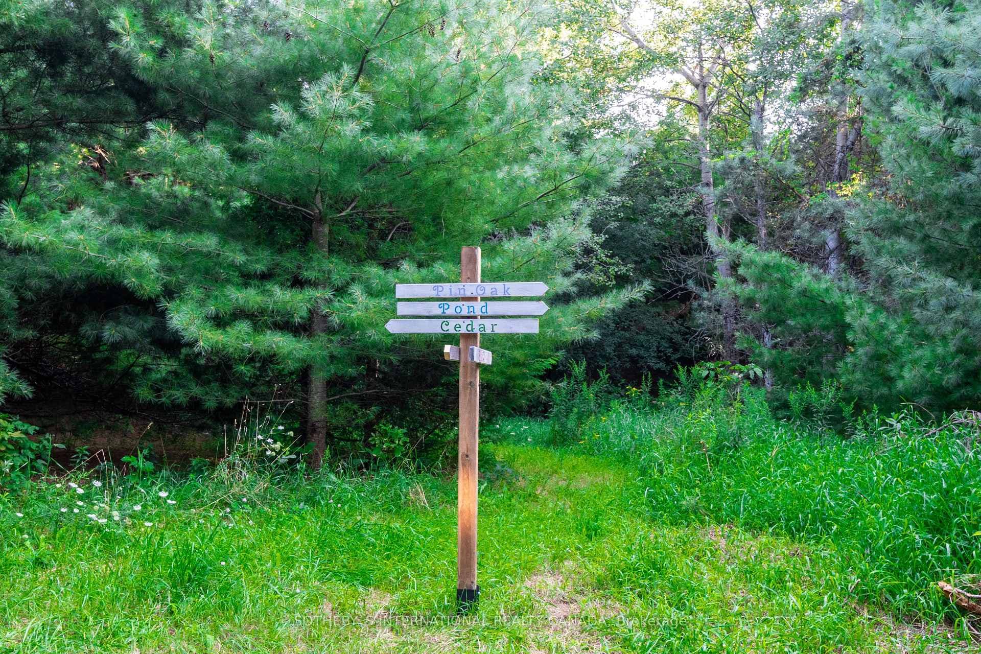 Walk the trails