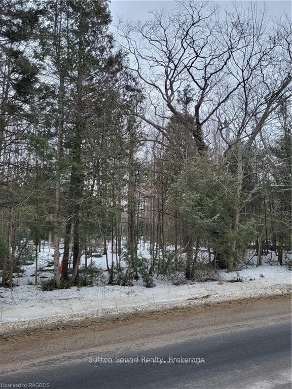LOT 50 CAPE HURD Road photo 10