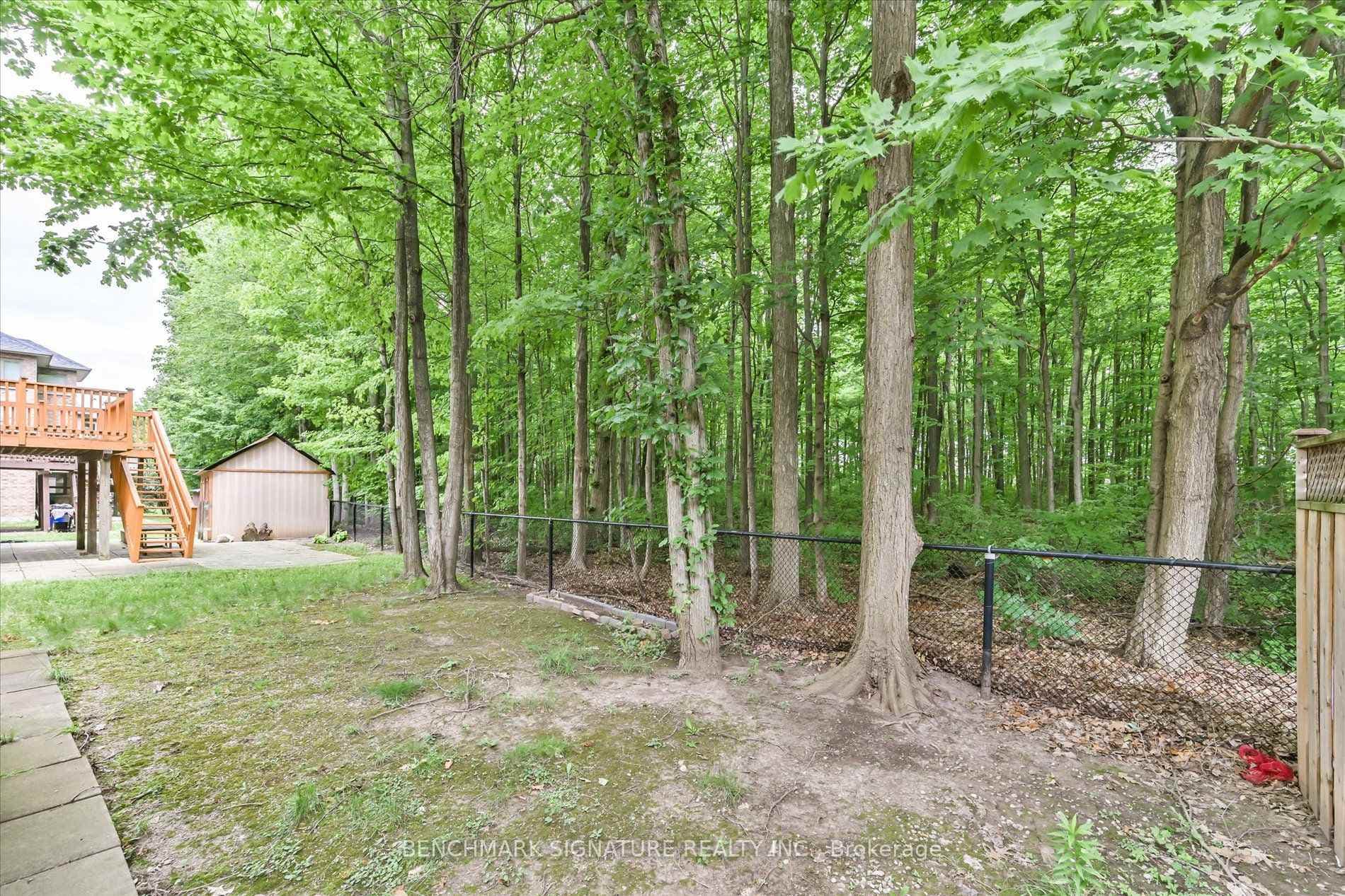 152 Blackmore Avenue photo 49