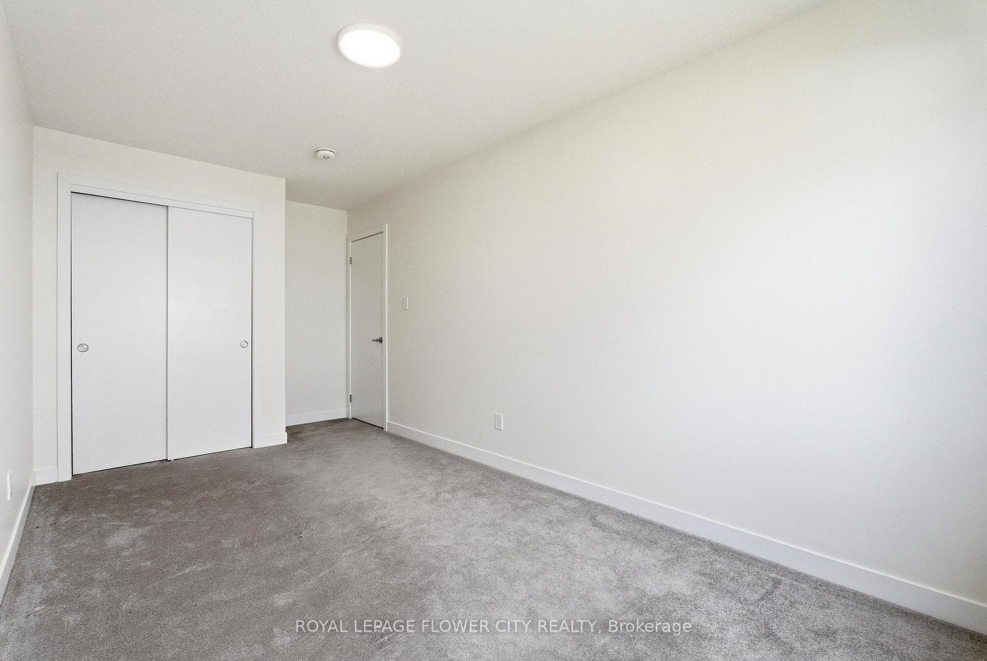 87 Pony Way photo 19