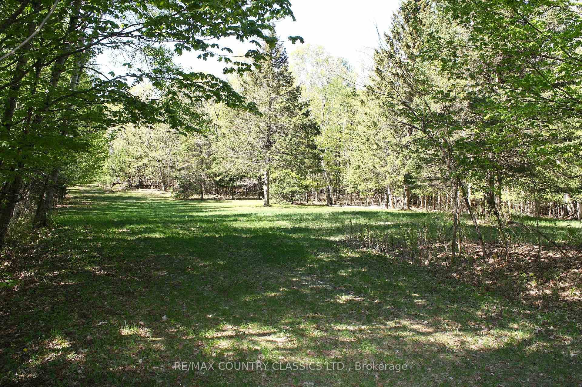1060 Little Ireland Road photo 22