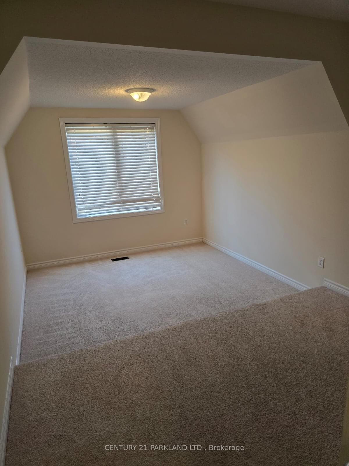 43 Holyrod Drive photo 18