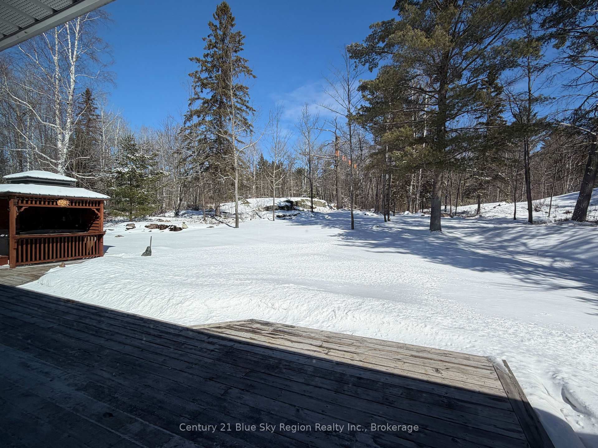 Back yard