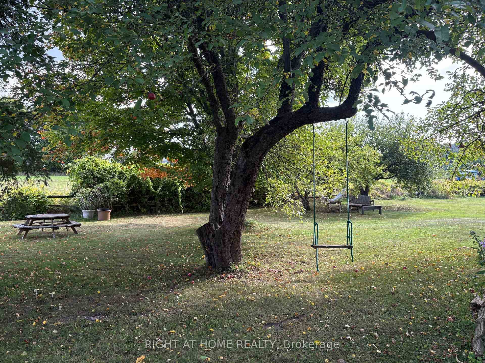 1284 Rumney Road photo 42