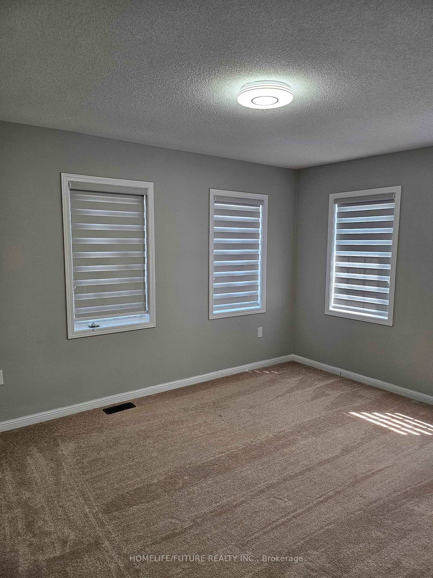259 Kenneth Cole Drive photo 19