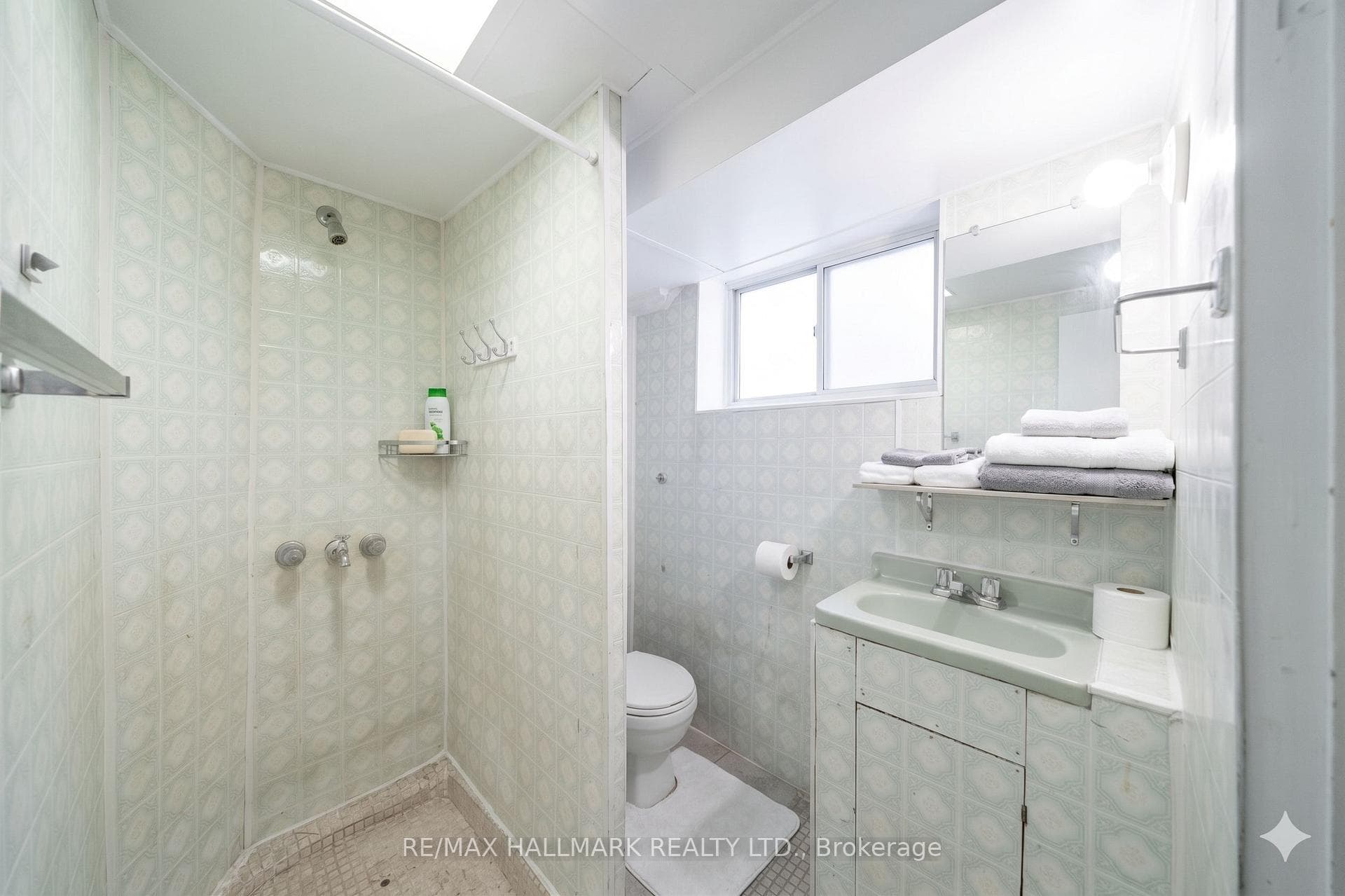 Basement Bathroom