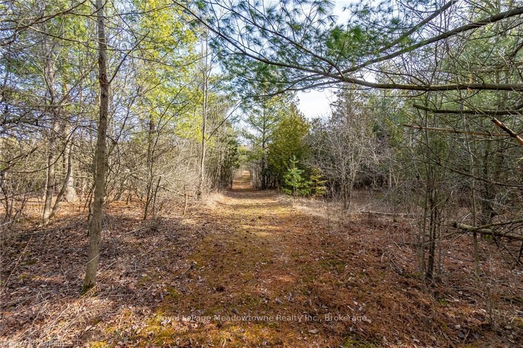 13551 TENTH Line photo 40