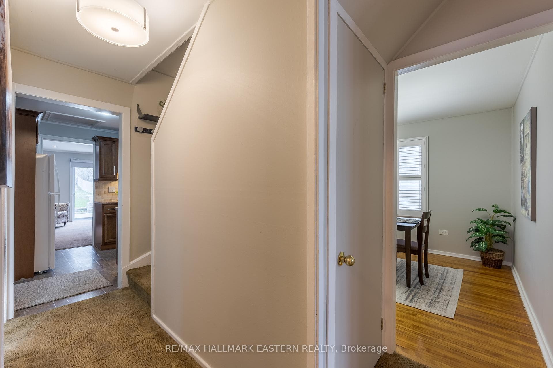 584 Paterson Street photo 22