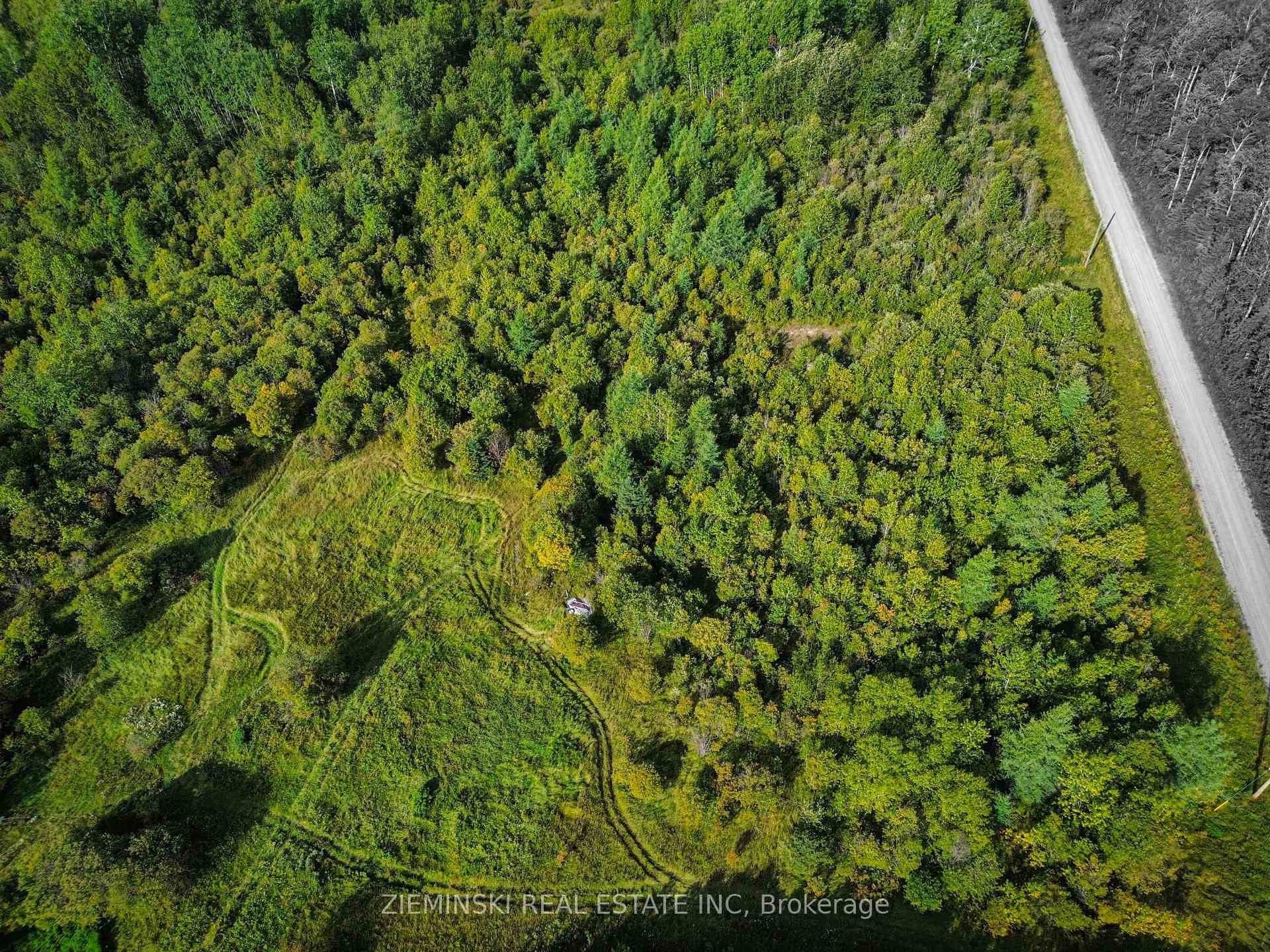 1023 Bobcat Road photo 4